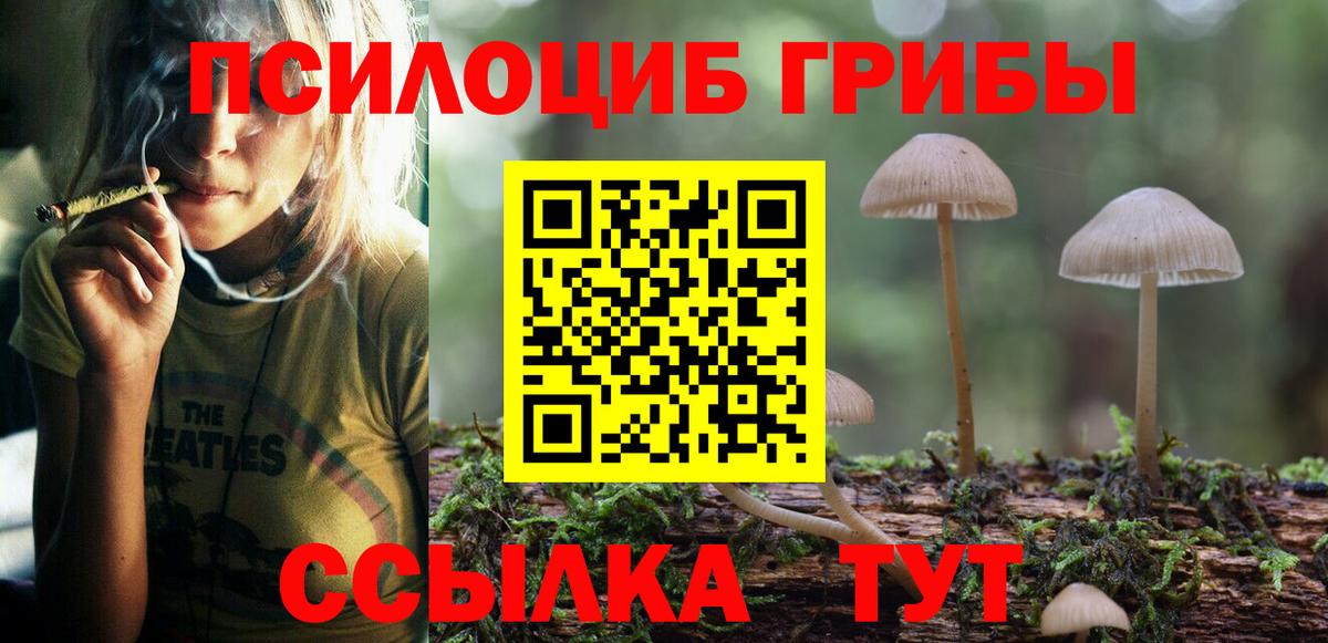 Псилоцибиновые грибы ЛСД  наркотики  Вход с VPN  Сызрань  Галлюциногенные грибы прущие грибы 